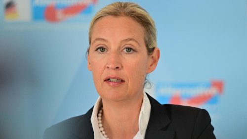Weidel fordert Verständnis für russische Position im Ukraine-Krieg
