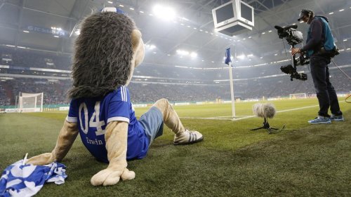 „Selbst als Nicht-Schalke-Fan – das tut weh“