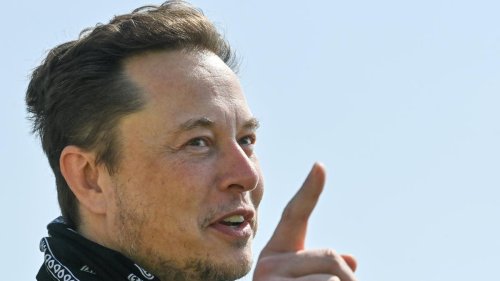 „Volkswagen ist eine Ikone“, sagt Elon Musk – und gibt dem Chef Tipps