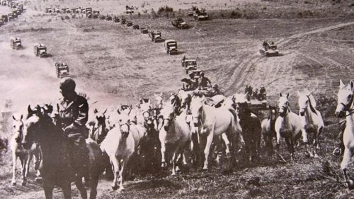 Um die weißen Pferde vor der Roten Armee zu retten, kämpften GIs und Wehrmacht gemeinsam