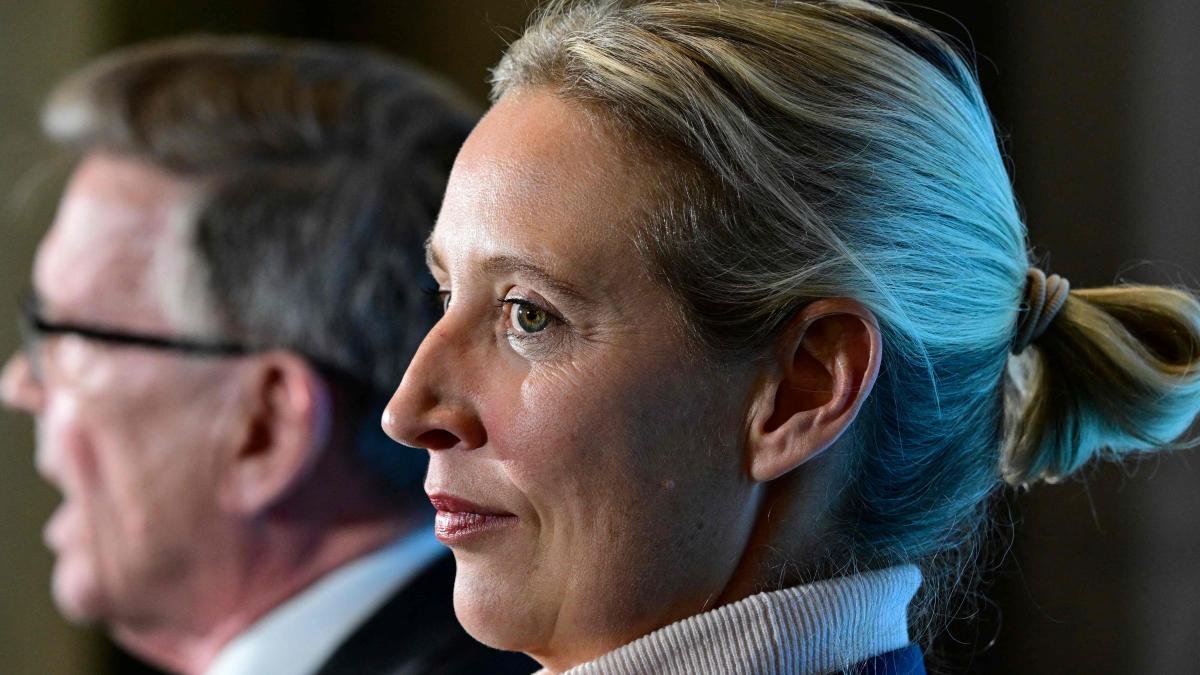AfD erreicht in Umfrage „höchsten jemals gemessenen Wert“ – Union verliert deutlich