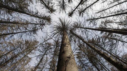 Wie ein Netz, das uns trägt – und nun zu reißen droht