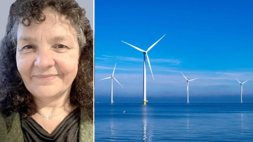 „Windenergie-Parks im Meer werden die Umwelt verändern“