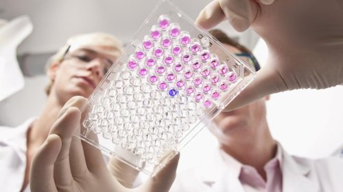 Biotechnologie – eine ausgebremste Boombranche