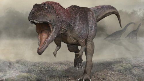 Sieht aus wie T. rex – ist aber nicht mit ihm verwandt