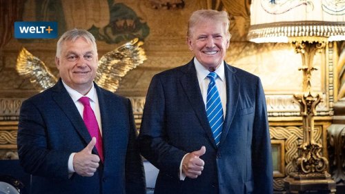 Die große Chance für einen prowestlichen Rechtspopulismus