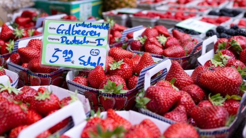Pestizid-Rückständen in Erdbeeren? Bundesinstitut gibt Entwarnung