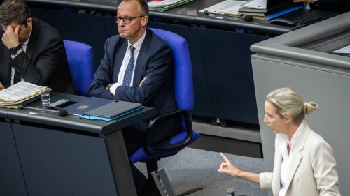 „Zu extrem für die Demokratie?“ – So kommentiert das Ausland die Debatte um ein AfD-Verbot