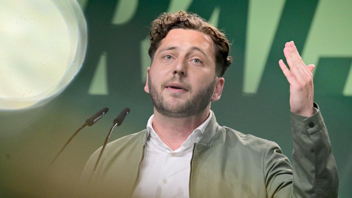 Grünen-Chef zum Umgang mit der AfD – „Wir stehen wie das Kaninchen vor der Schlange“