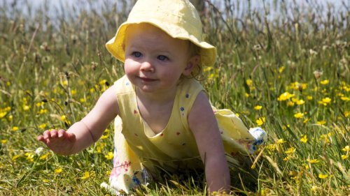 Schon einjährige Kinder können offenbar Erinnerungen speichern
