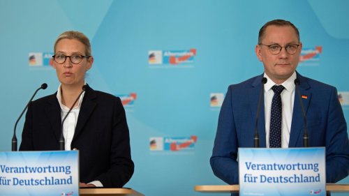AfD rutscht in Umfrage in Sachsen-Anhalt auf Platz zwei
