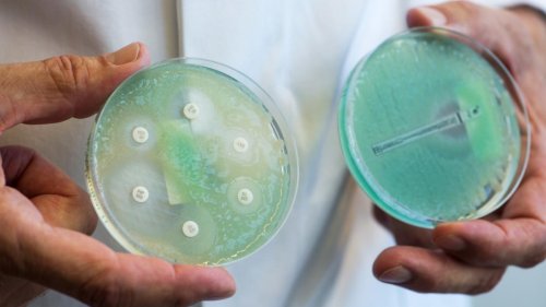 „Globale Bedrohung“ – WHO warnt vor Antibiotika-Resistenzen