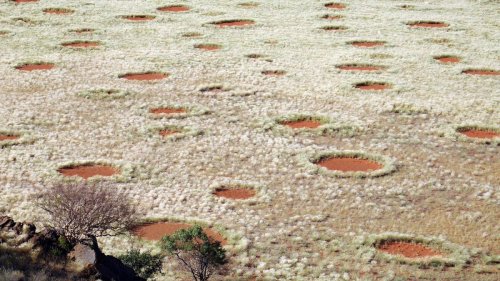 Woher die mysteriösen Muster wirklich stammen