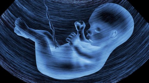 Babys im Mutterleib sind frei von Mikroorganismen