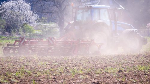 Darum werden Dürren nicht direkt „das neue Normal“