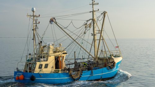 „Einigung mit Großbritannien bietet Sicherheit für die Zukunft der europäischen Fischer“