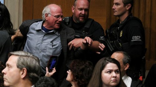 Mitbegründer von Ben & Jerry's bei Protesten im Kapitol verhaftet