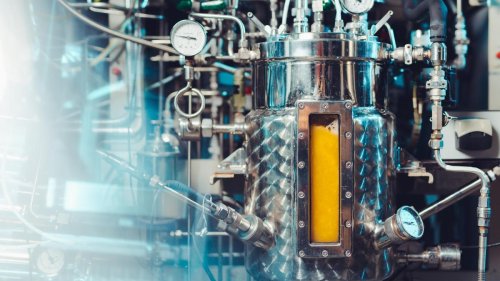 Essen aus Luft? Dieses neue Sonnen-Protein soll den globalen Hunger beenden