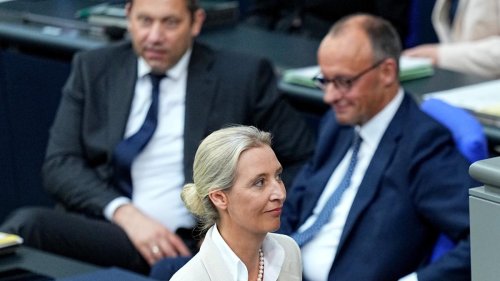 AfD und Union legen in Wählergunst zu, FDP rutscht weiter ab