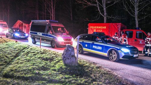 Wildtierkamera lieferte entscheidenden Hinweis – Bürgermeister spricht von Glücksfall