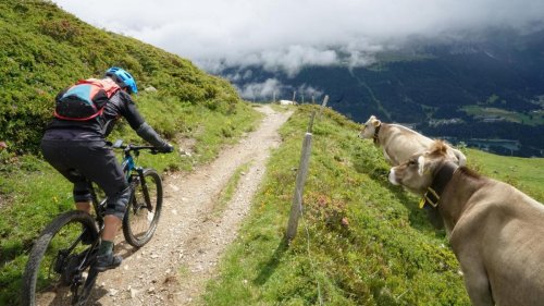 Auf Rädern statt auf Brettern durch die Alpen