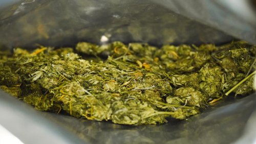 Vom Zoll gestoppt – 21-Jähriger aus Bangkok will Koffer voll mit Marihuana einführen