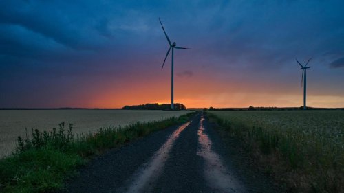 FDP und Grüne geraten über Windkraft-Ausbau aneinander