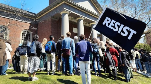 „Das ist wie ein Todesurteil für Harvard als globale Elite-Institution“