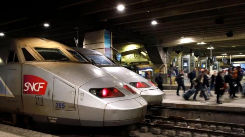 Zug überfährt Hauskatze Neko - Fall entrüstet Frankreich