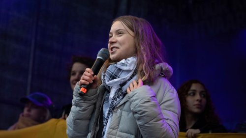 Greta Thunberg bezichtigt Israel des Völkermordes