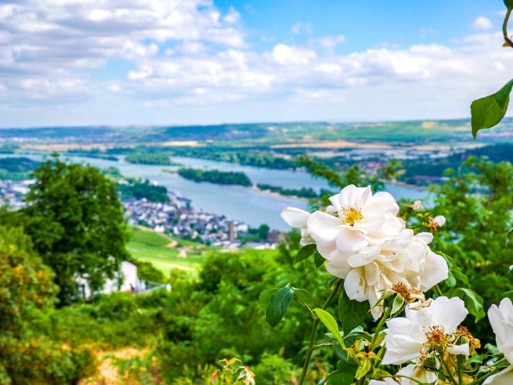 Die schönsten Wander- und Weinregionen Deutschlands - cover