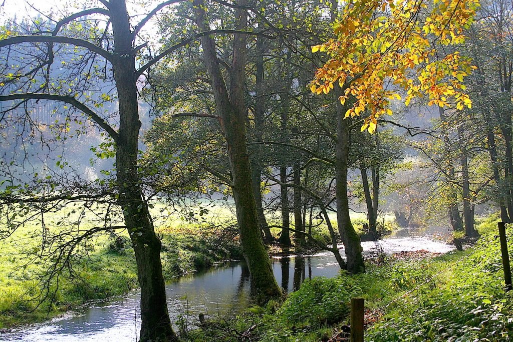 Lieserpfad – ein Eifel Wanderweg in Flusslandschaft