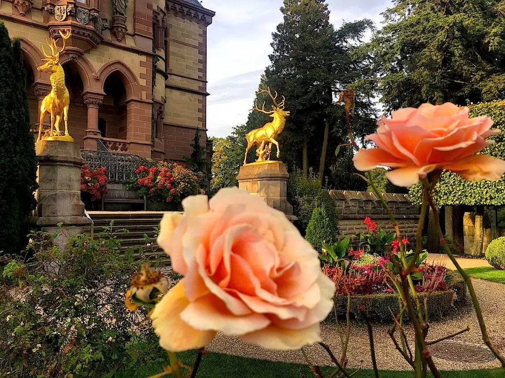 5 Tipps für mehr Rheinromantik in Königswinter