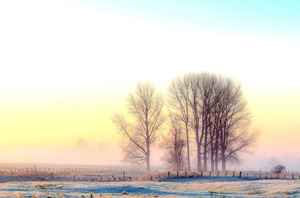 Top 10 der schönsten Wintererlebnisse in NRW