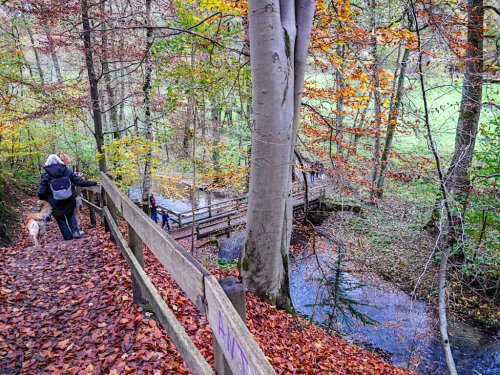 Neandertal – spektakulär Wandern am eiszeitlichen Wildgehege