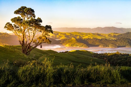 Ringe der Macht Drehorte: 5 spektakuläre Locations in Neuseeland