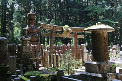 Koya-san: eine Nacht auf Japans größtem Friedhof | weltwunderer