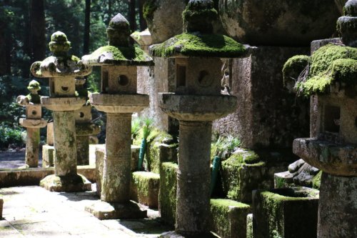 Koya-san: eine Nacht auf Japans größtem Friedhof | weltwunderer