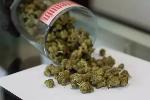 How Marijuana, Psychedelics Bills Fared in Colorado This Year