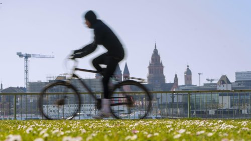 Wetter und Wetterthemen am 19. März: Frost und Nebel in der Nacht | wetter.de