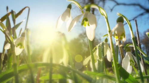 Wetterbericht für den 22.03.2023: Am Vormittag startet der Tag erst freundlich | wetter.de
