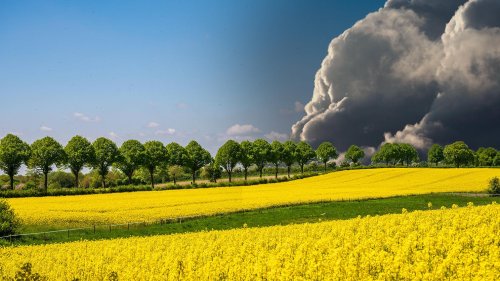 Wettertrend und Prognose Frühling 2024: Mehr Sonne und Wärme für möglichen Gewitter-Unwettern im Mai | wetter.de