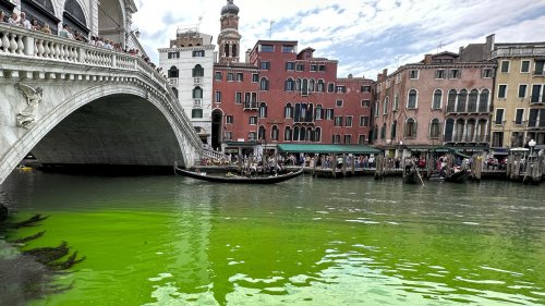 Canal Grande in Venedig leuchtet giftig grün - was hat das Wasser verseucht? | wetter.de
