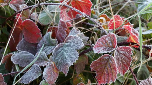 42-Tage-Wettertrend: Herbst lässt Winter mitspielen - im Oktober könnten Frost & Schnee dabei sein | wetter.de