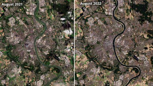 Rhein in Köln scheint auszutrocknen - Satellitenbild verdeutlicht eindrucksvoll Dürre in Deutschland | wetter.de