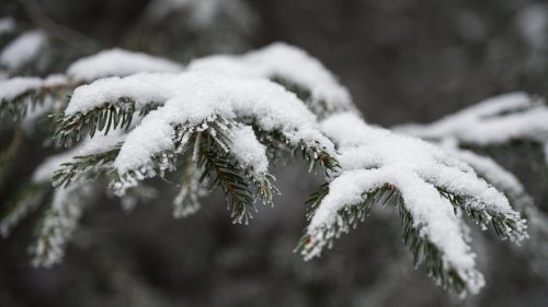 Wetterbericht für den 01.12.2022: Schnee, Regen und Kälte zum meteorologischen Winterstart | wetter.de