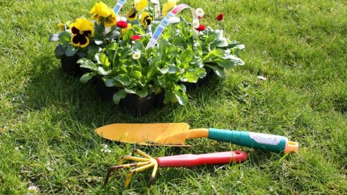 Gartenarbeiten im März: Für diese Pflanzen kann die Aussatz jetzt beginnen | wetter.de