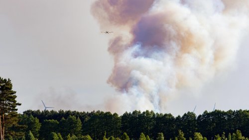 Trockenheit und Dürre kehren sehr schnell zurück: Erster großer Waldbrand in Brandenburg | wetter.de
