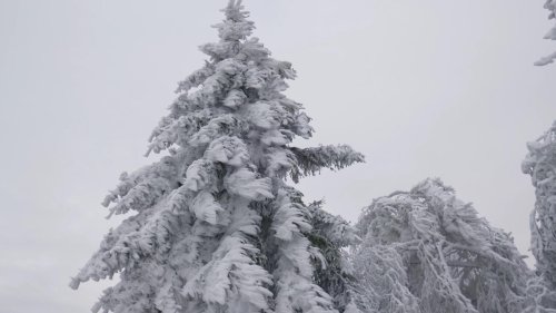 Wetterbericht für den 02.12.2022: Winterwetter mit Schnee und Kälte in Deutschland | wetter.de