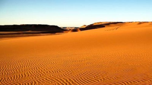 Wetter & Prognose Pangaea Ultima: 40 Grad plus X - darum sind Bedingungen in Zukunft lebensfeindlich | wetter.de